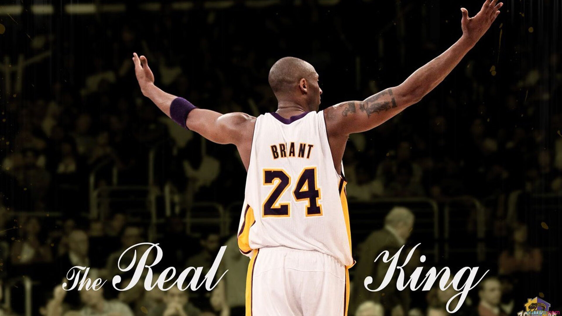 夺冠的“秘密武器”：不可或缺的核心球员